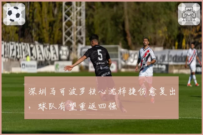深圳马可波罗核心沈梓捷伤愈复出，球队有望重返四强