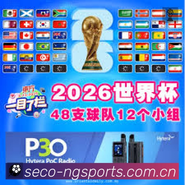 数据分析功能